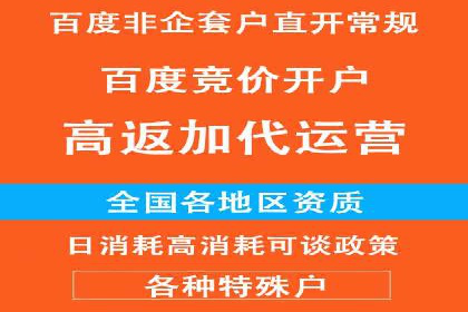 百度SEM推广案例解析：成功秘诀大公开